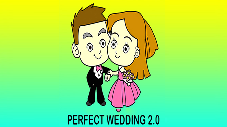 Perfect Wedding 2 by Francesco Carrara - Video Download